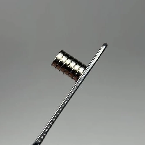 img_8071_jpg NAILSOFTHEDAY magnetų rinkinys (6 vnt., 4 mm)